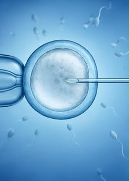 أطفال الأنابيب وعلاج تأخر الإنجاب